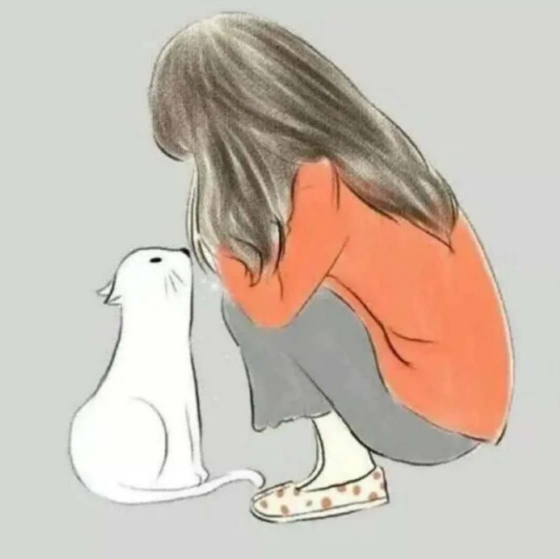 豆芽猫儿