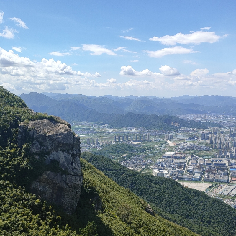 Yuan X