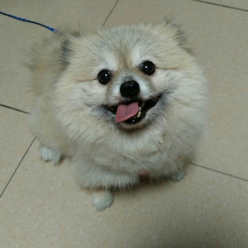 棒棒老师。