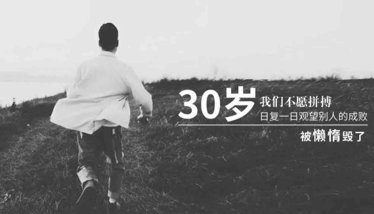 低调的包子君