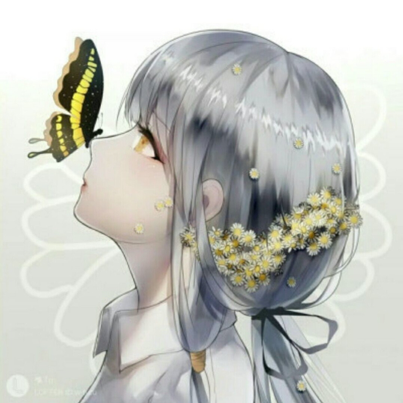 冰蓝炎蝶
