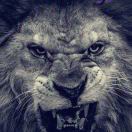 Mr.King