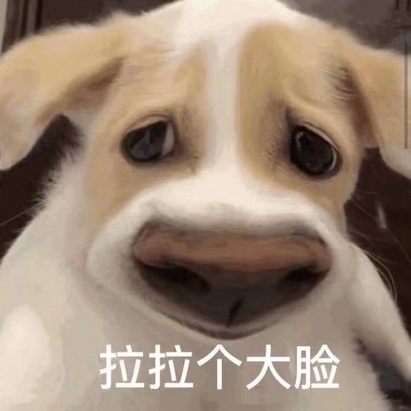 每天都要加油开心