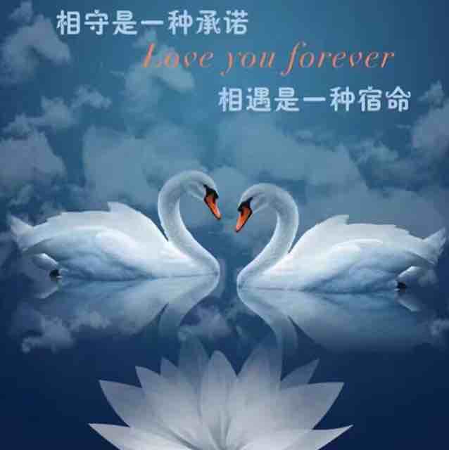 亚历山大和发条老鼠
