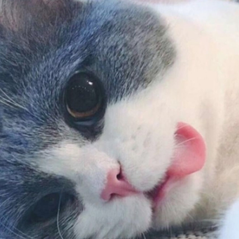 不曾停留。