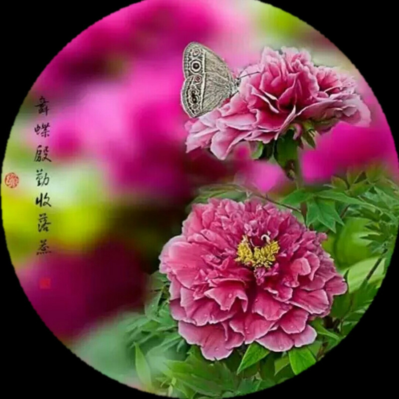 摆渡者