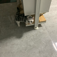 平平的笑话专辑
