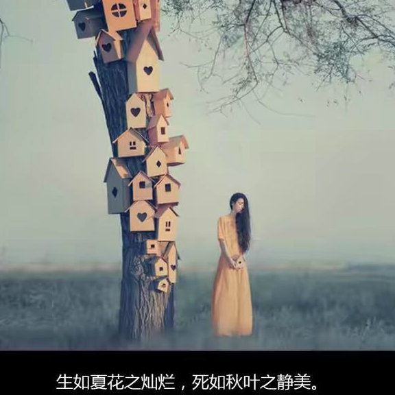 暖暖117