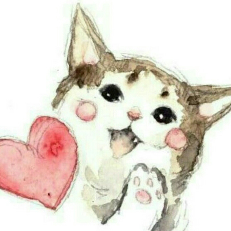 。。。。。
