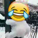 男子汉  