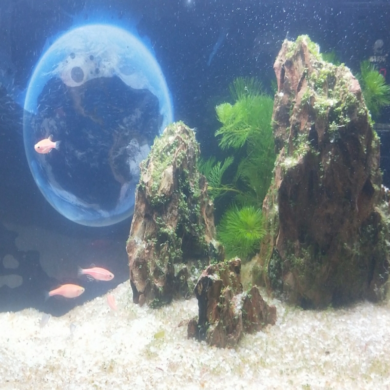 家味食研馆