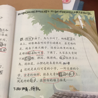 大青树下的小学