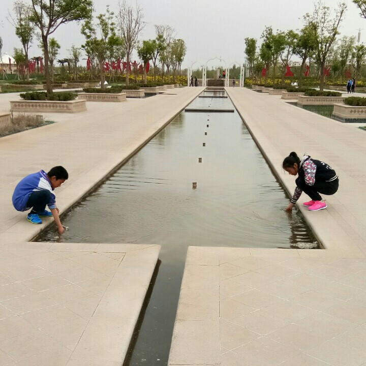 杨碧涛
