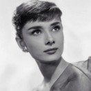 爱吃肉丸子的艾瑞