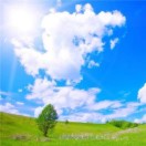 放晴的天空