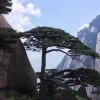 沐风浴阳