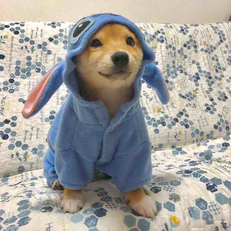 谭智世⁵⁺