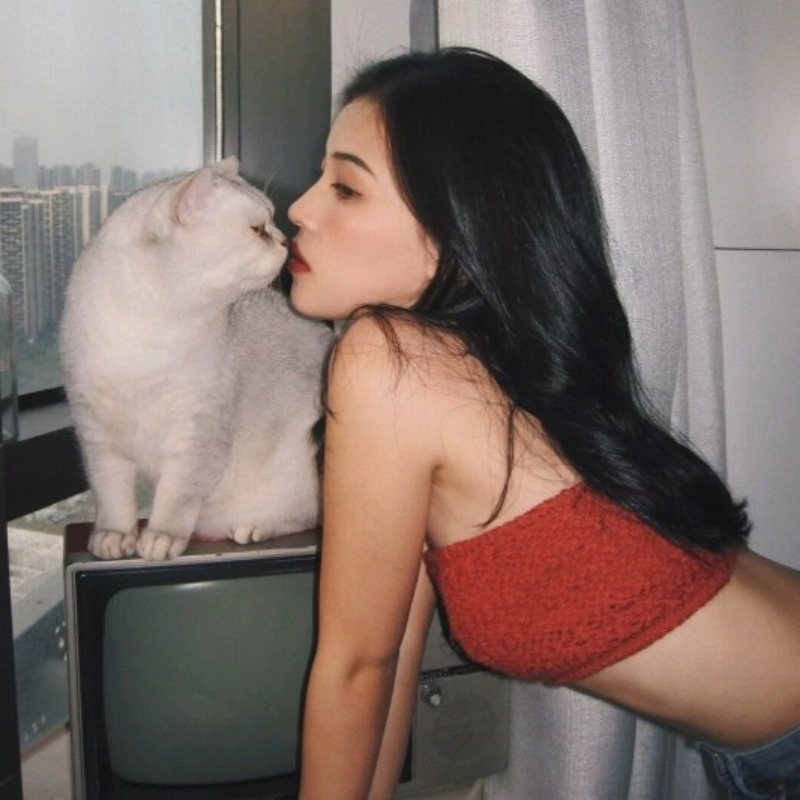 是倪倪