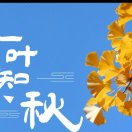 征程