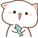 小完Z