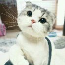无动力