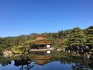 叶 德权