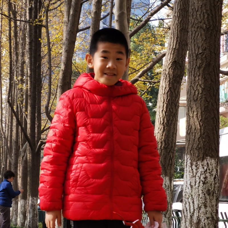 木子小小木