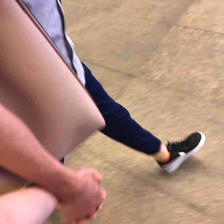 幸运的老榕