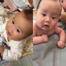 陈东豪
