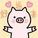 小小鑫鑫