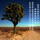 振茗