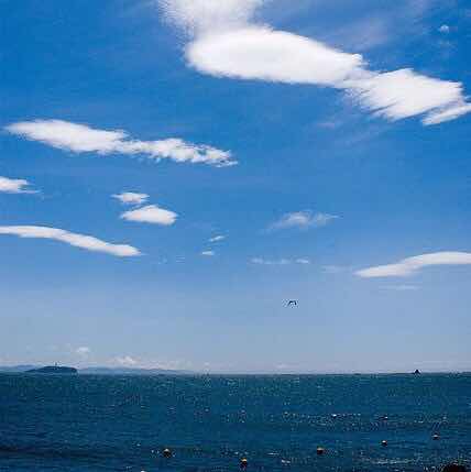 windy