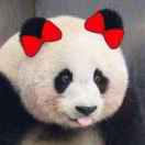 小叶子 