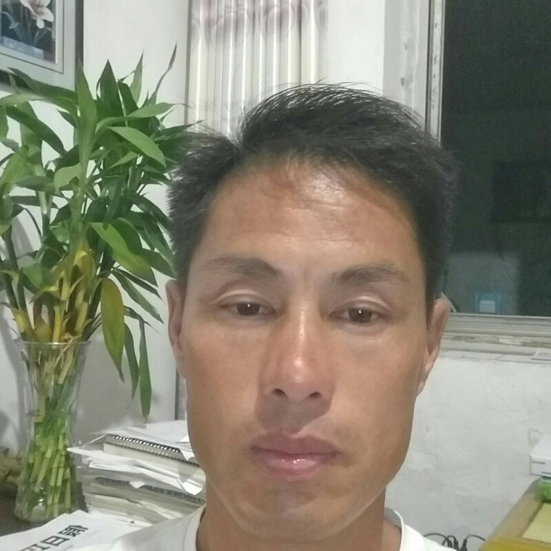 羔羊肉片，羔羊肉卷，。