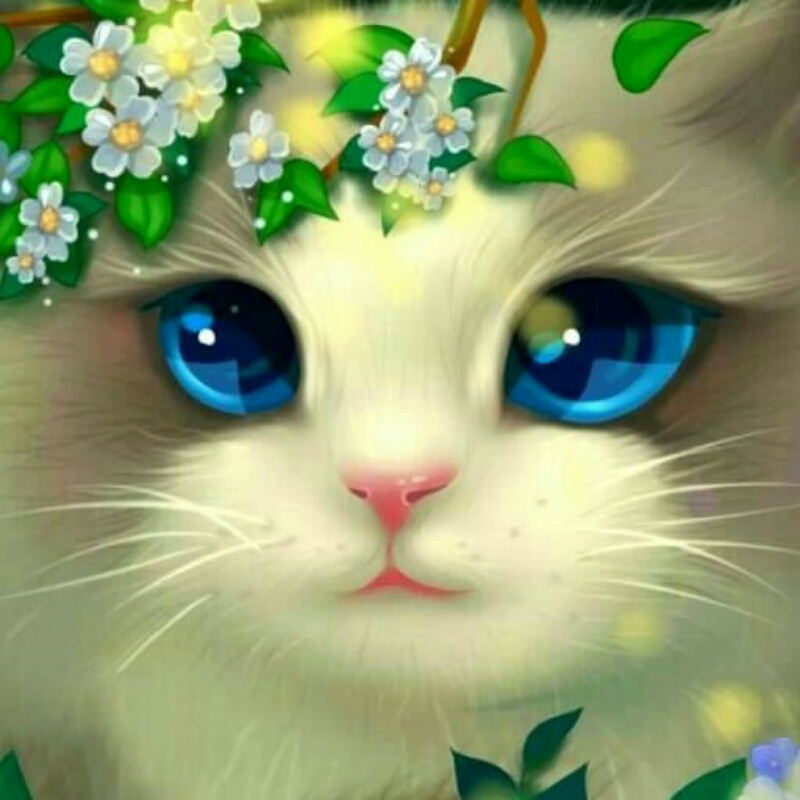    紫色烟花   