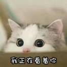 晴凝家的酸汁