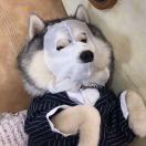 快乐的小鸭子。