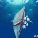 小七是谁