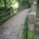 何先生