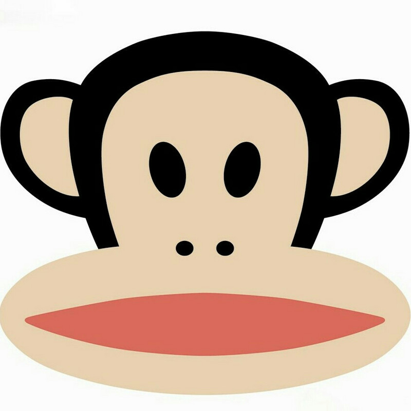 心的理由