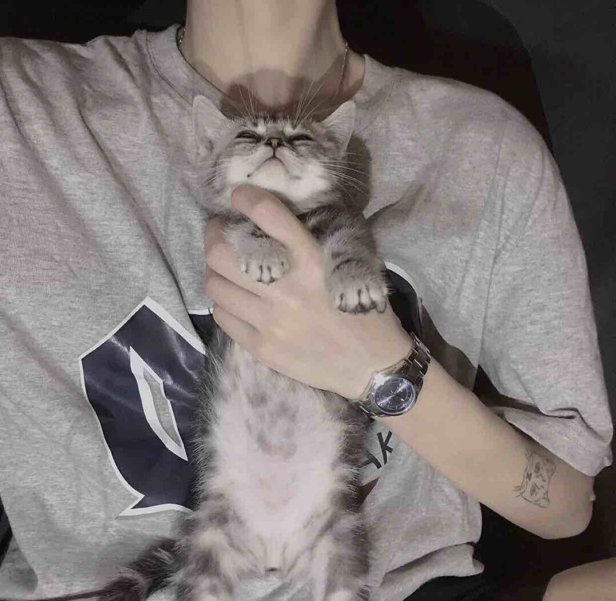 王撕聪
