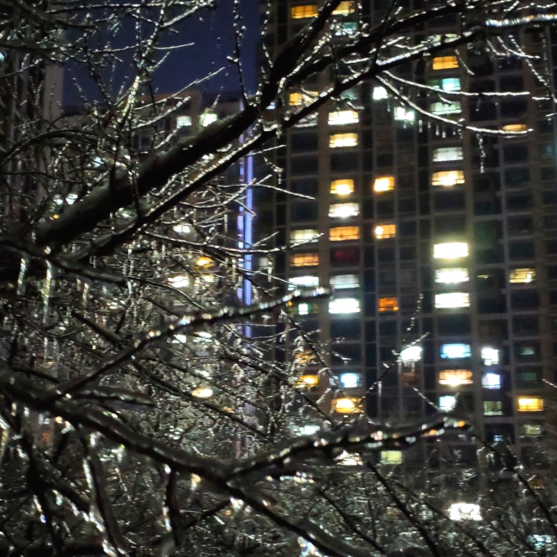 春江