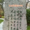小飞鱼87