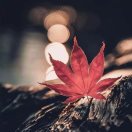 吕梁英雄