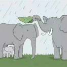 心雨