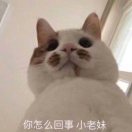 玖GG
