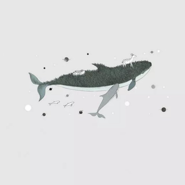 泷