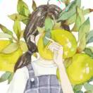 柠檬女孩的夏天