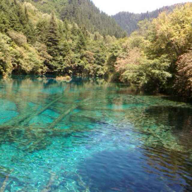 山象