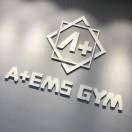 A+EMS乐志军